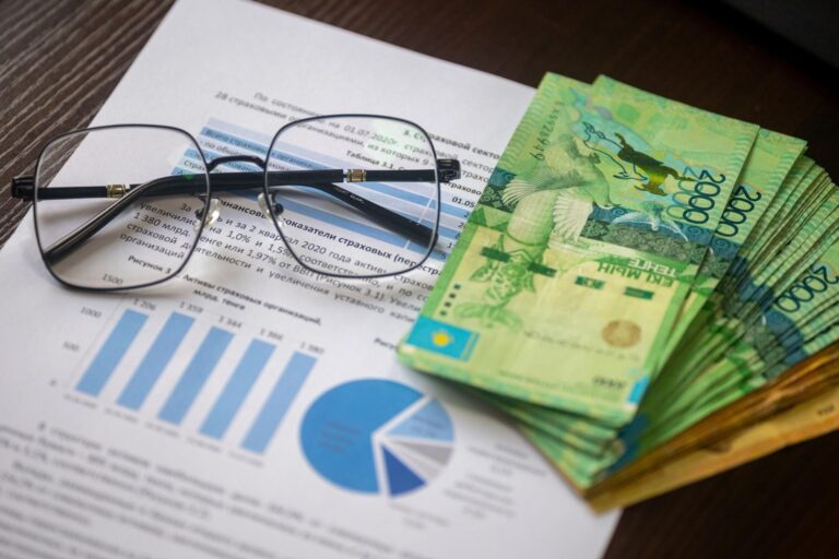 portfolio budget statement